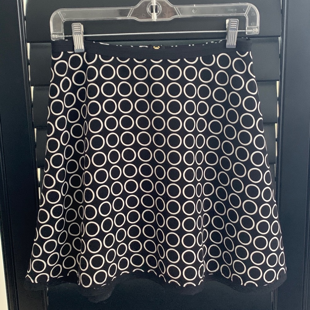 The Limited skirt